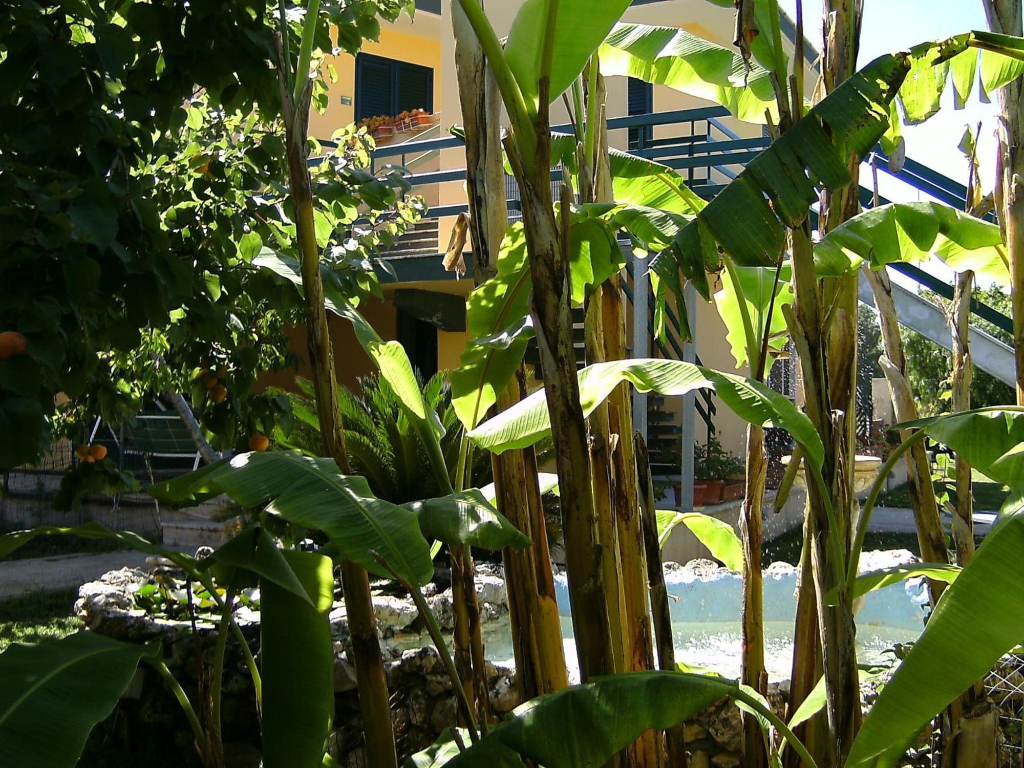 Vento Dell'Est Bed & Breakfast San Cataldo  Exterior foto