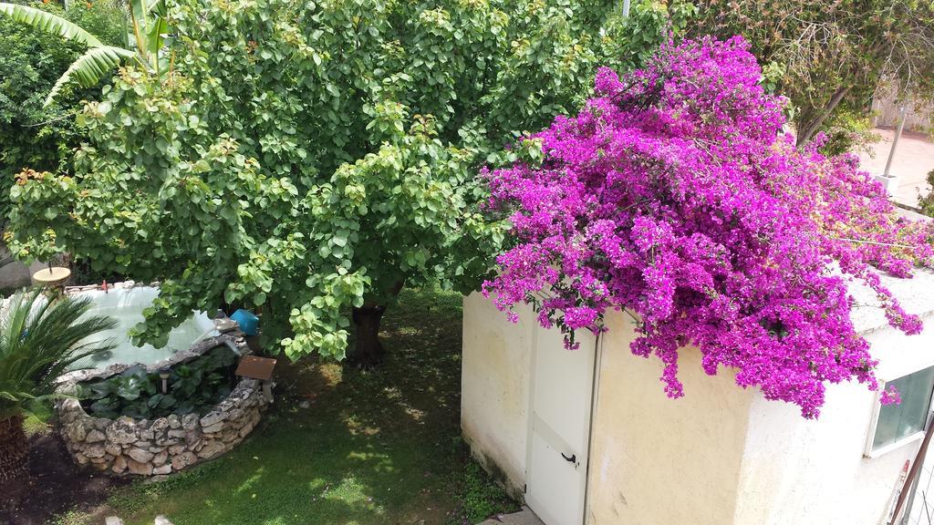 Vento Dell'Est Bed & Breakfast San Cataldo  Exterior foto